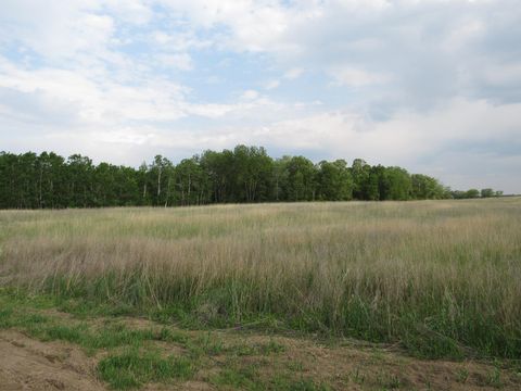 TBD 12TH PARCEL 9 SW Backus MN 56435