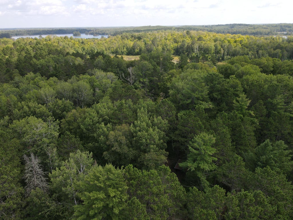 Photo of TBD Big Island Lake Trail, Marcell, MN 56657 (MLS # 7131588)