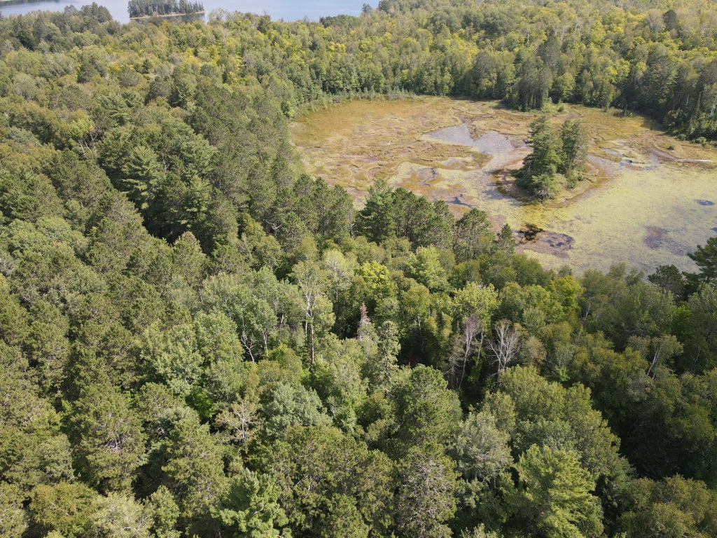 Photo of TBD Big Island Lake Trail, Marcell, MN 56657 (MLS # 7131588)