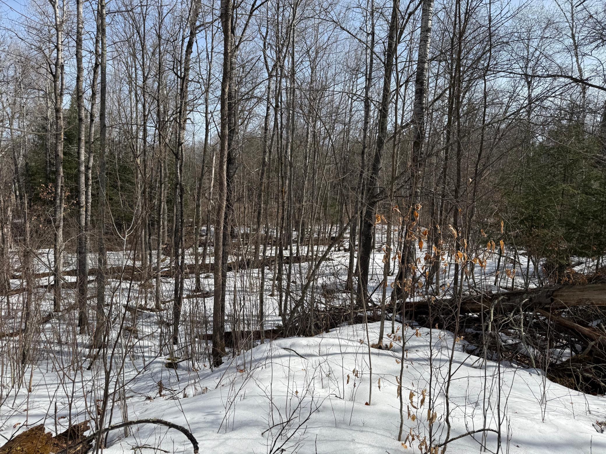 Lot 7 Block 1 Yellow Birch Ln