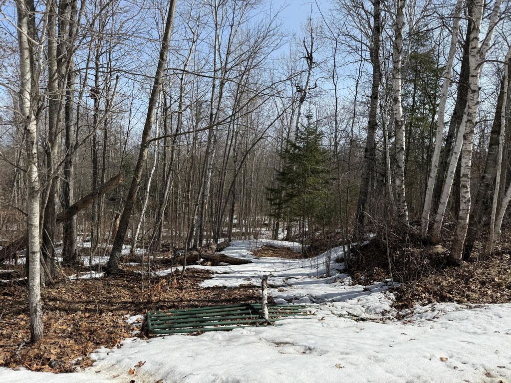 Photo of Lot 7 Block 1 Yellow Birch Ln, Emily, MN 56447 (MLS # 7038758)