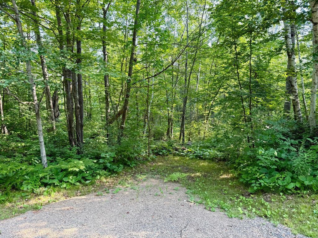 Photo of Lot 7 Block 1 Yellow Birch Ln, Emily, MN 56447 (MLS # 7038758)