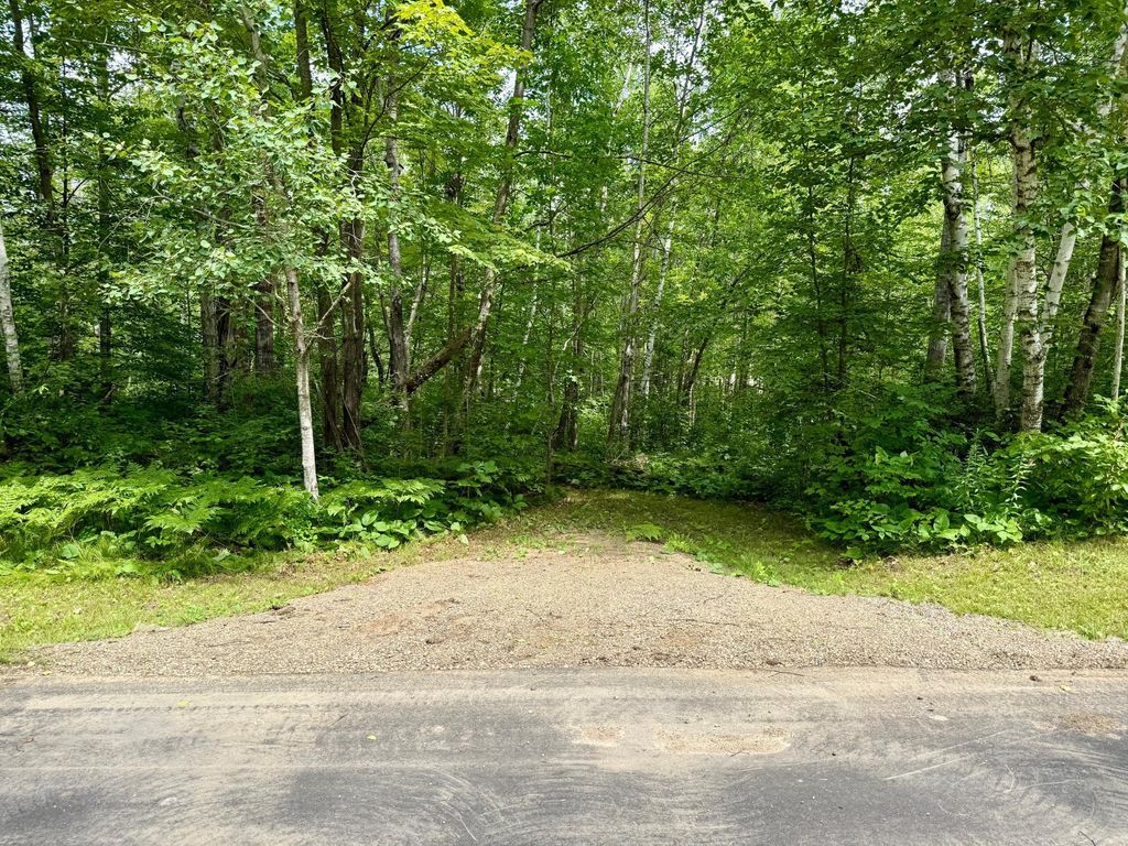 Photo of Lot 7 Block 1 Yellow Birch Ln, Emily, MN 56447 (MLS # 7038758)