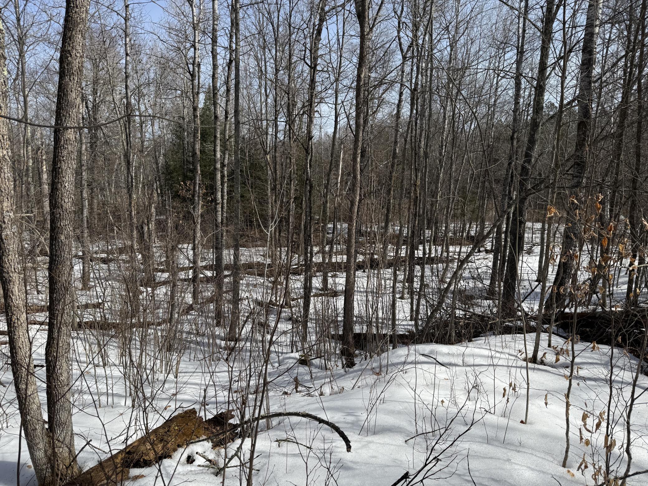 Lot 7 Block 1 Yellow Birch Ln