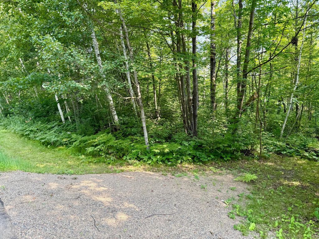 Photo of Lot 7 Block 1 Yellow Birch Ln, Emily, MN 56447 (MLS # 7038758)