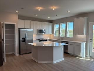 Photo of 6275 Ivywood Avenue S, Cottage Grove, MN 55016 (MLS # 7147223)