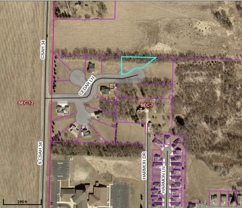 Photo of 1447 Cedar Lane, Litchfield, MN 55355 (MLS # 6702465)