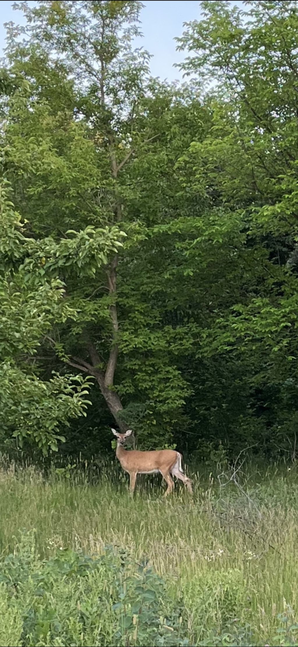 Photo of 585 W. Lake Street St, Vergas, MN 56587 (MLS # 7044938)