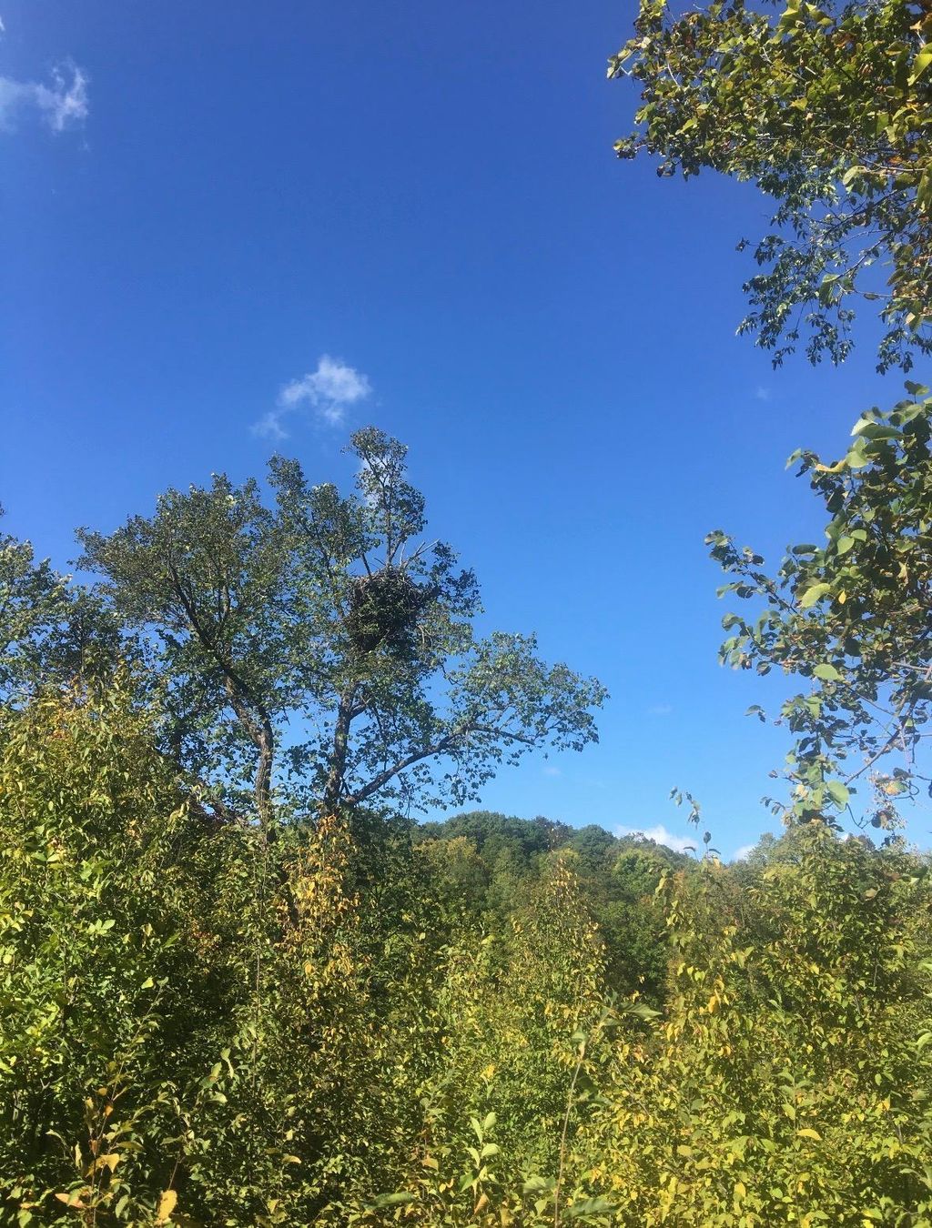 Photo of 585 Lake Street St W, Vergas, MN 56587 (MLS # 7044938)