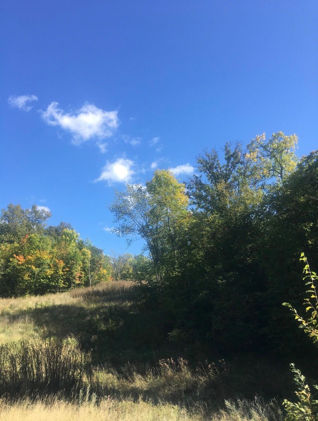 Photo of 585 Lake Street St W, Vergas, MN 56587 (MLS # 7044938)