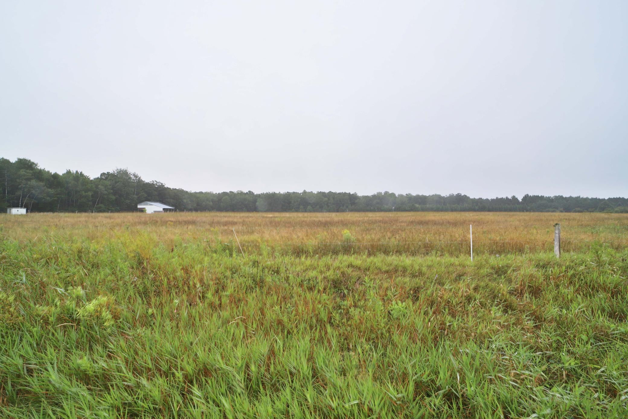 TBD Mill Road