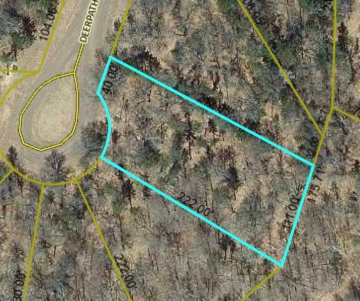 Lot 207 Deerpath.jpg