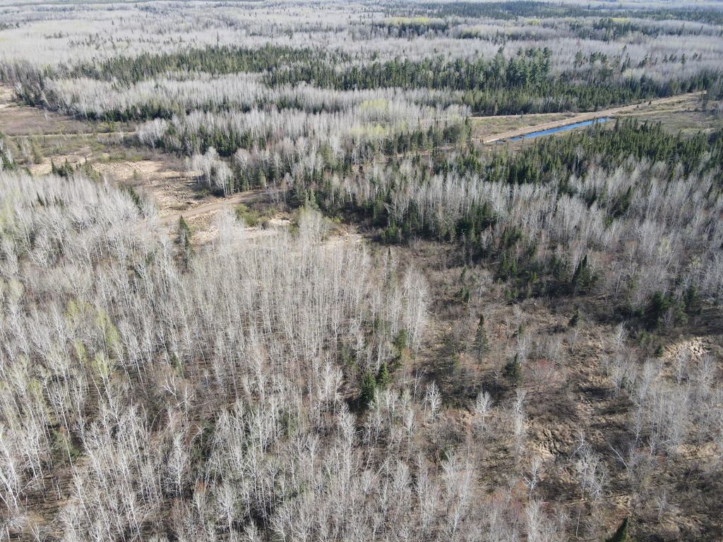 Photo of TBD Purple Rain Road, Barnum, MN 55707 (MLS # 7075548)