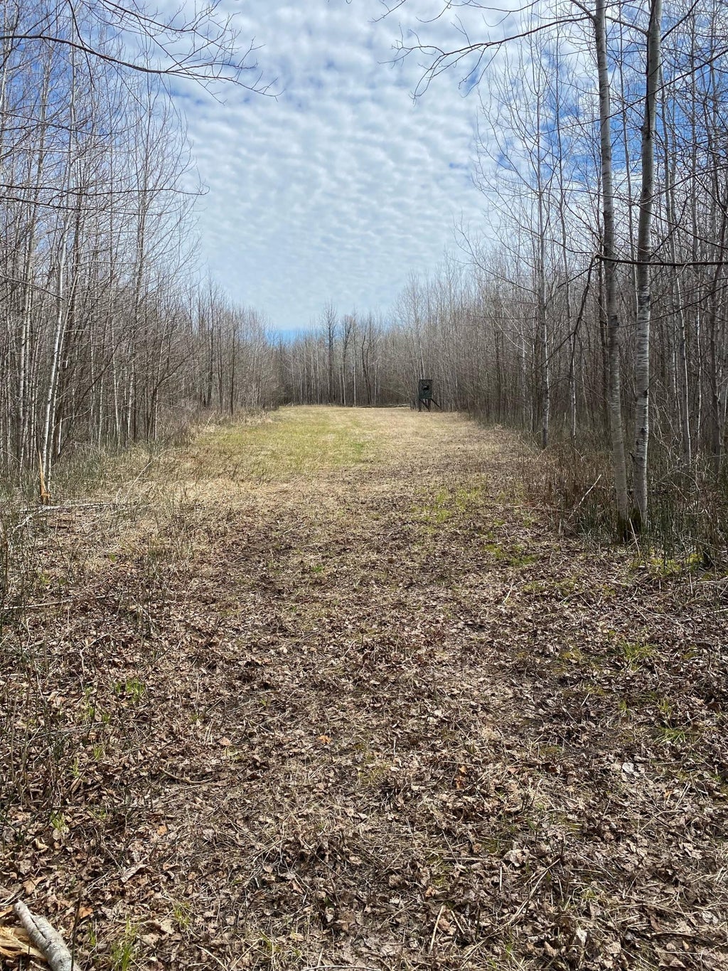 Photo of TBD COUNTY ROAD 79, Littlefork, MN 56649 (MLS # 7106234)