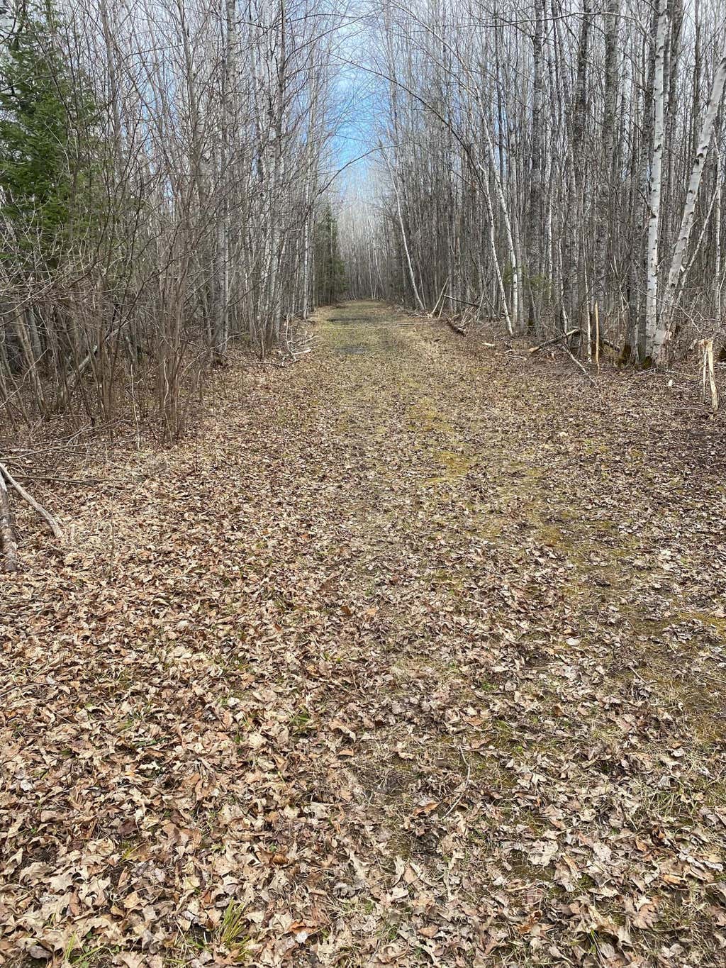 Photo of TBD COUNTY ROAD 79, Littlefork, MN 56649 (MLS # 7106234)
