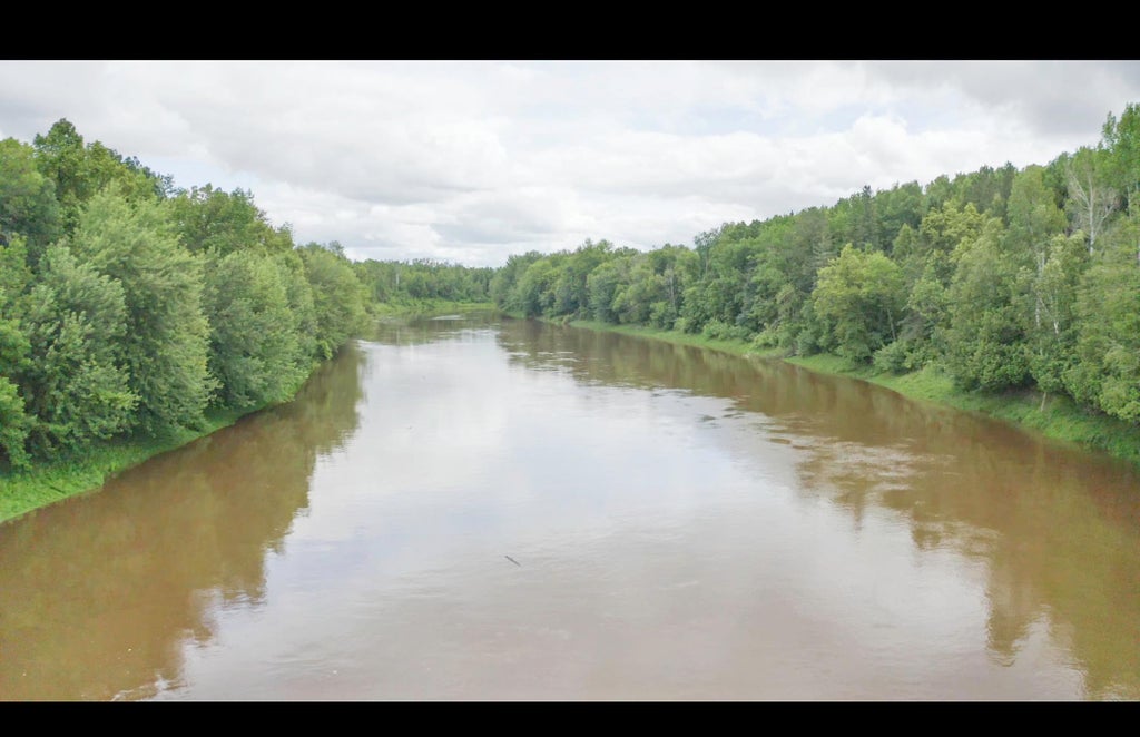 Photo of TBD COUNTY ROAD 79, Littlefork, MN 56649 (MLS # 7106234)