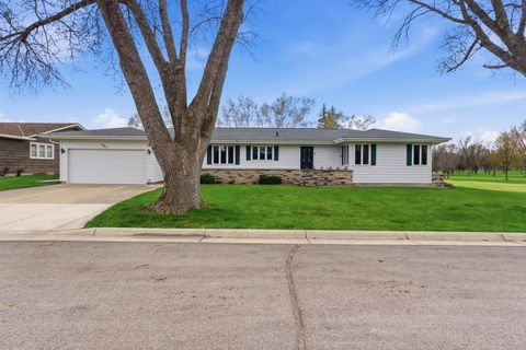 Photo of 311 E Oak Avenue, Olivia, MN 56277 (MLS # 7052588)
