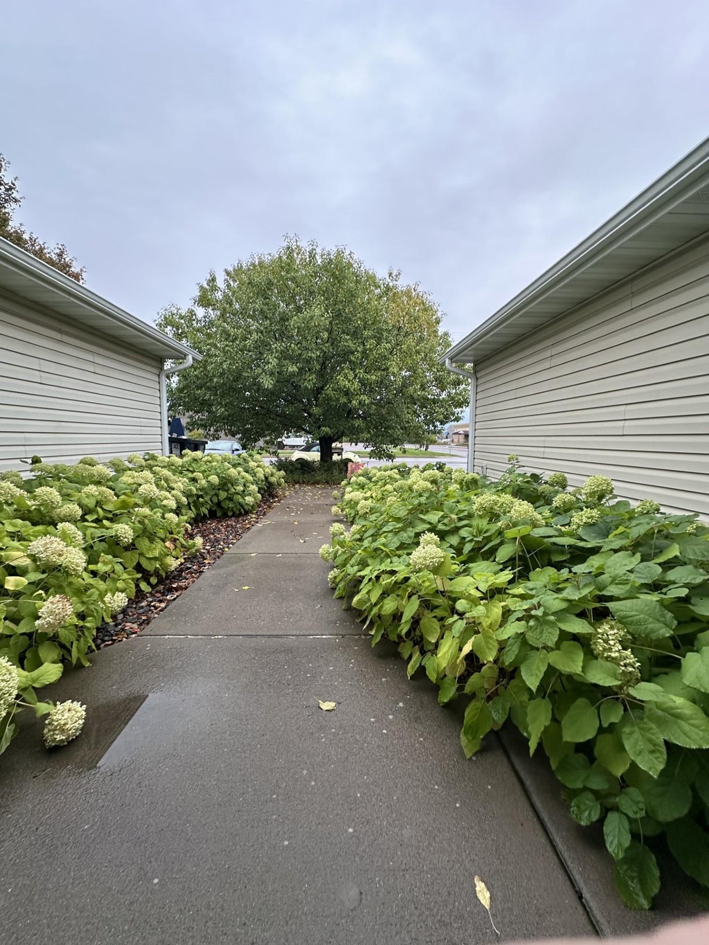 Photo of 371 Phyllis Street, Big Lake, MN 55309 (MLS # 6817975)