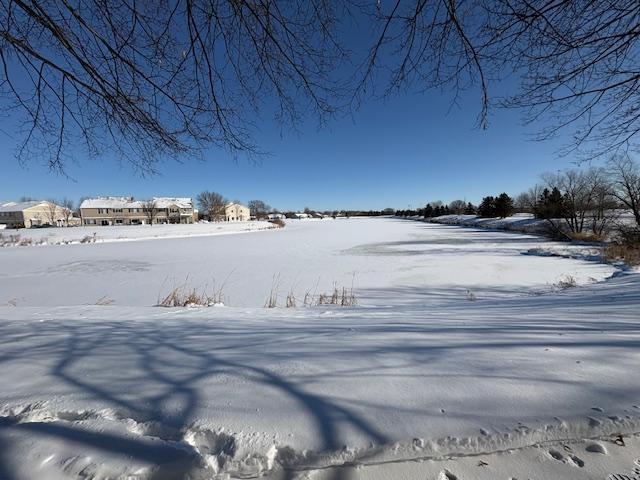 10911 Goodhue Street NE D