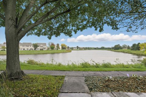 10911 Goodhue Street NE D Blaine MN 55449