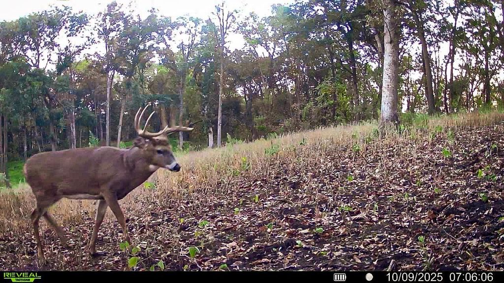 Photo of W27022 Whistle Pass Road, Dodge, WI 54661 (MLS # 7007838)