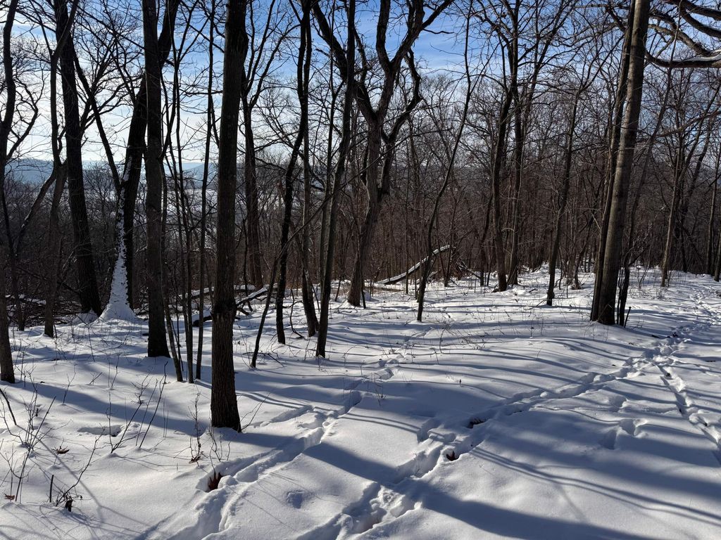 Photo of W27022 Whistle Pass Road, Dodge, WI 54661 (MLS # 7007838)