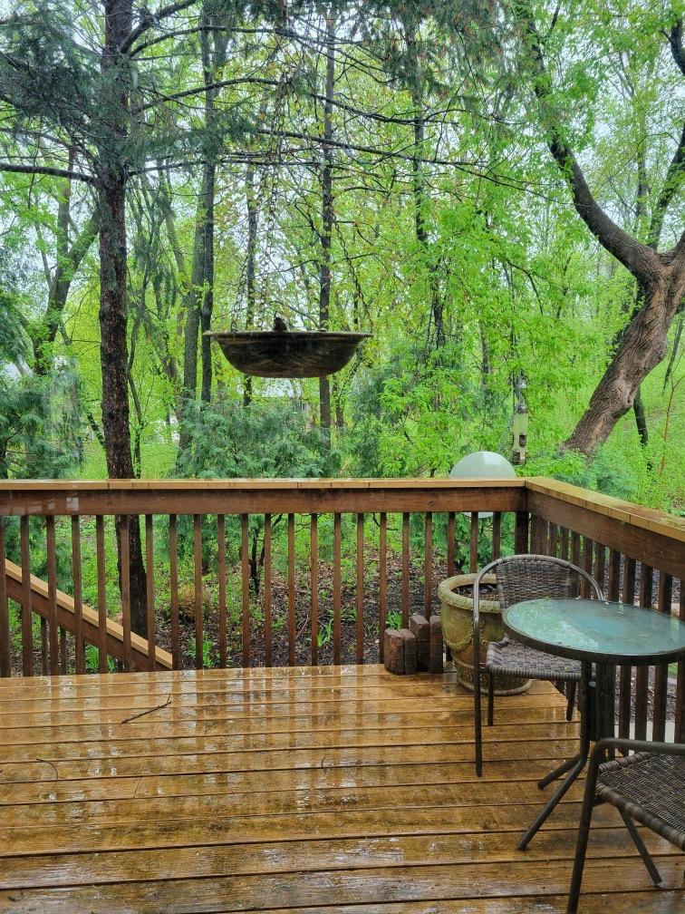 Photo of 293 River Woods Lane, Burnsville, MN 55337 (MLS # 7113263)