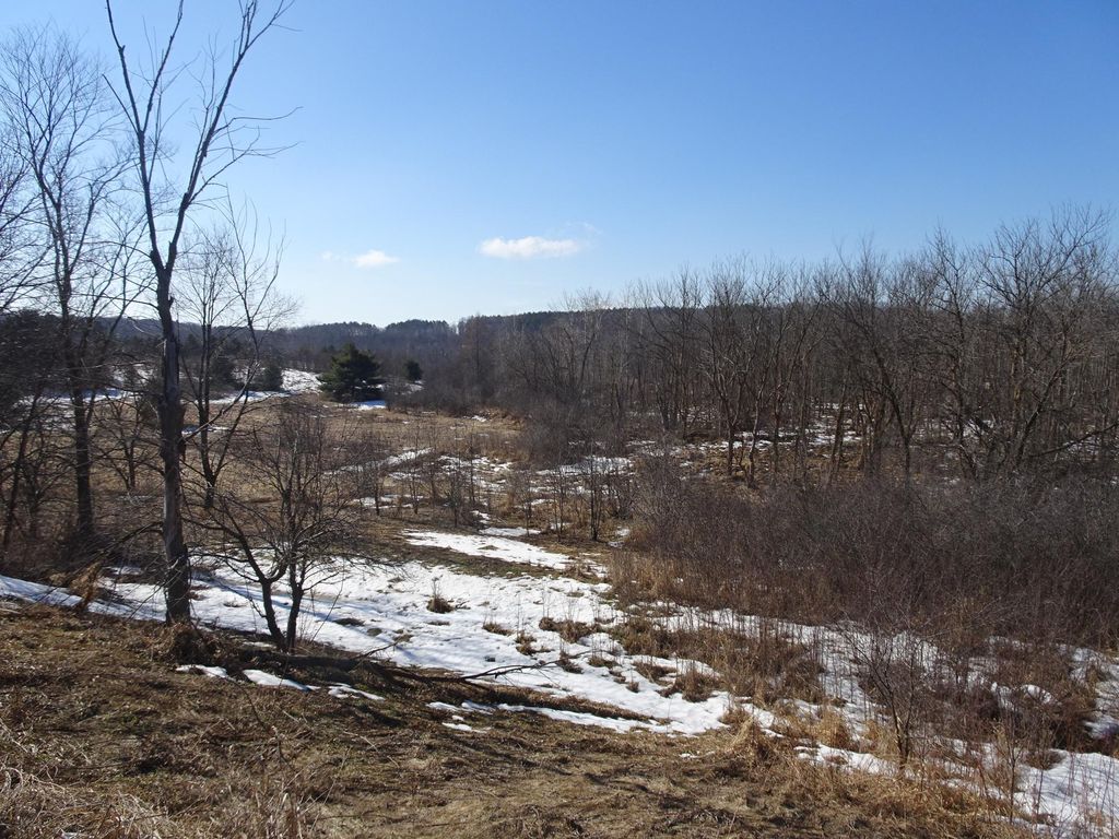 Photo of XXX Hwy 35, Frederic, WI 54837 (MLS # 7052556)