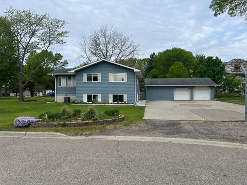 Photo of 129 Nelson Street E, Litchfield, MN 55355 (MLS # 7065261)