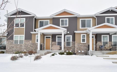 14808 Willemite Street NW Ramsey MN 55303