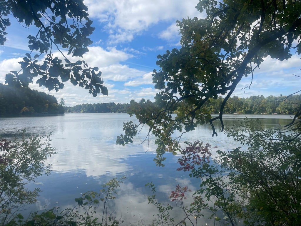 Photo of 31531 N Oak Street, Pequot Lakes, MN 56472 (MLS # 7149403)