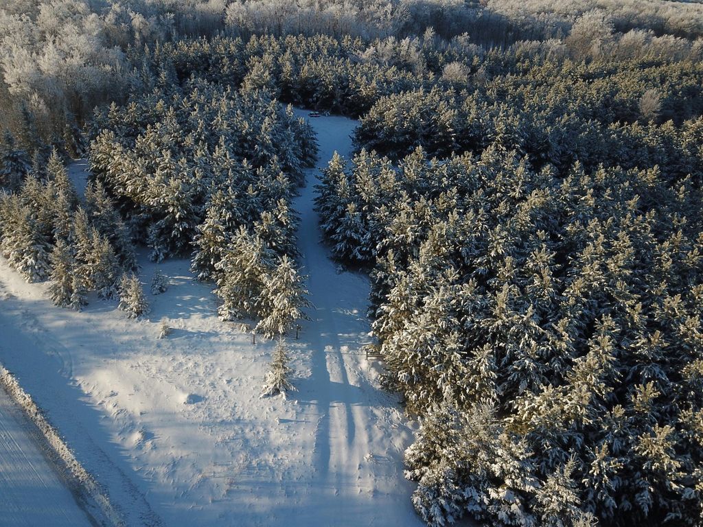Photo of TBD 161st Avenue, Clearbrook, MN 56634 (MLS # 7007635)
