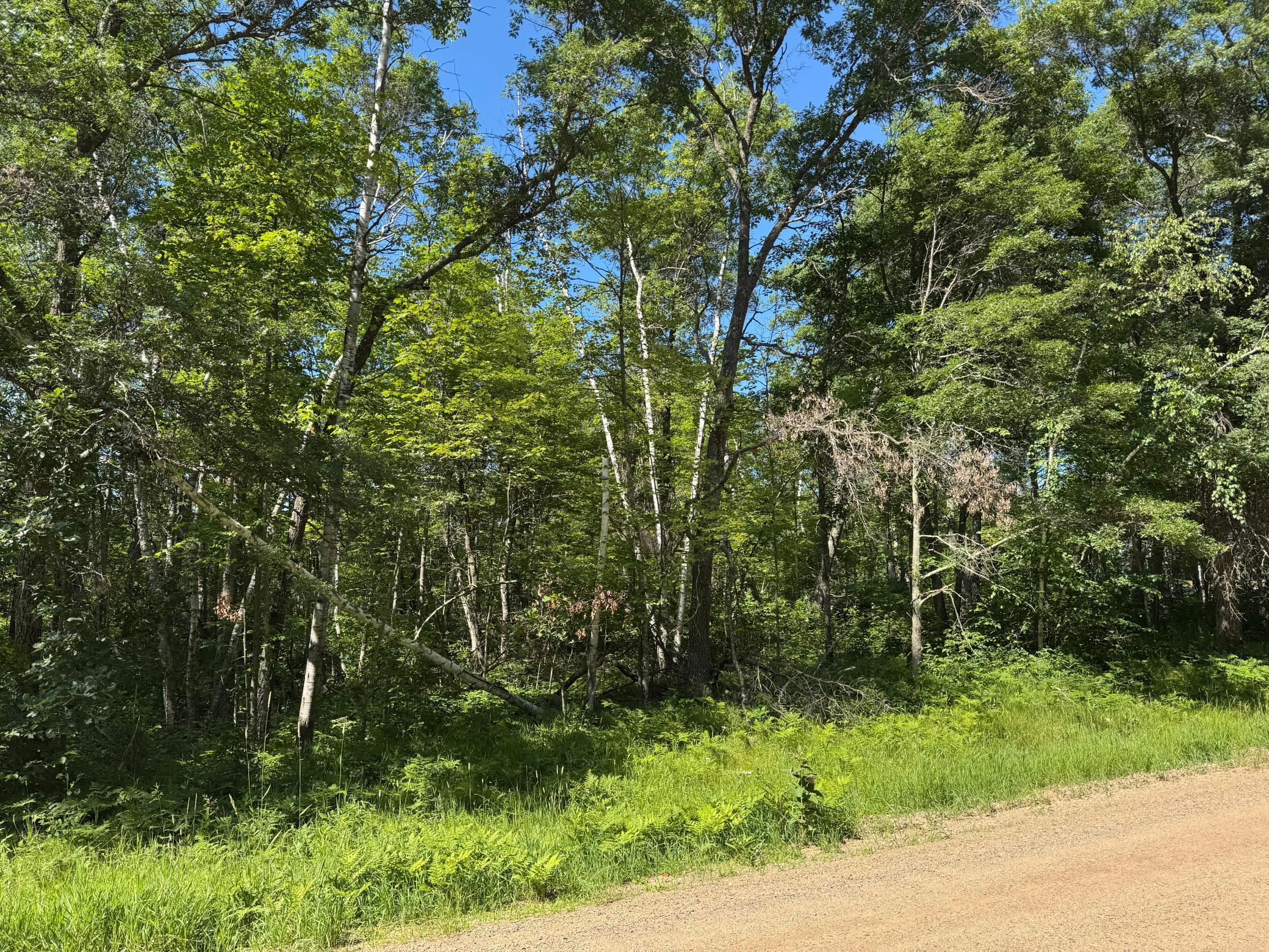 xxx Blue Ridge Drive