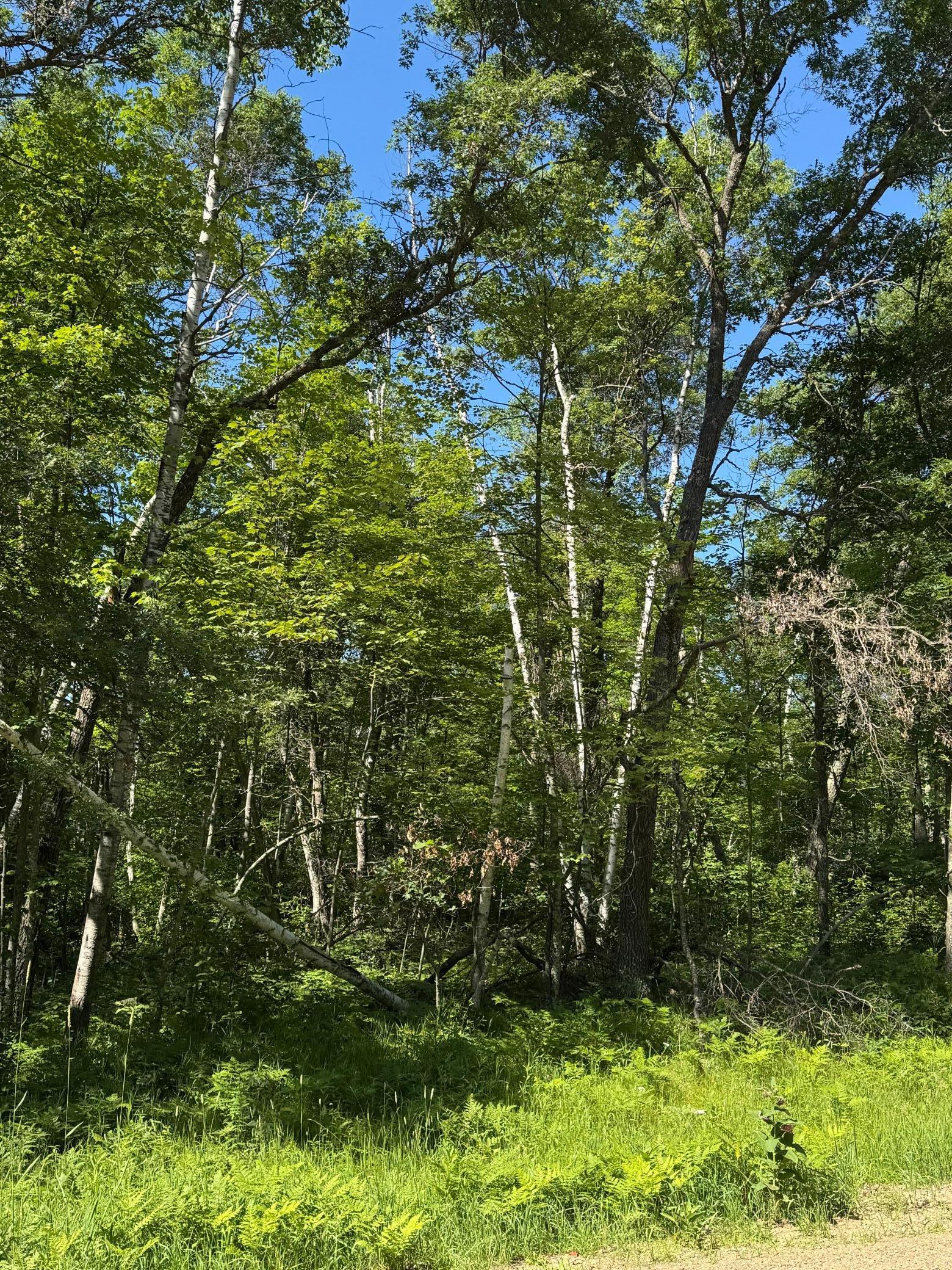 xxx Blue Ridge Drive