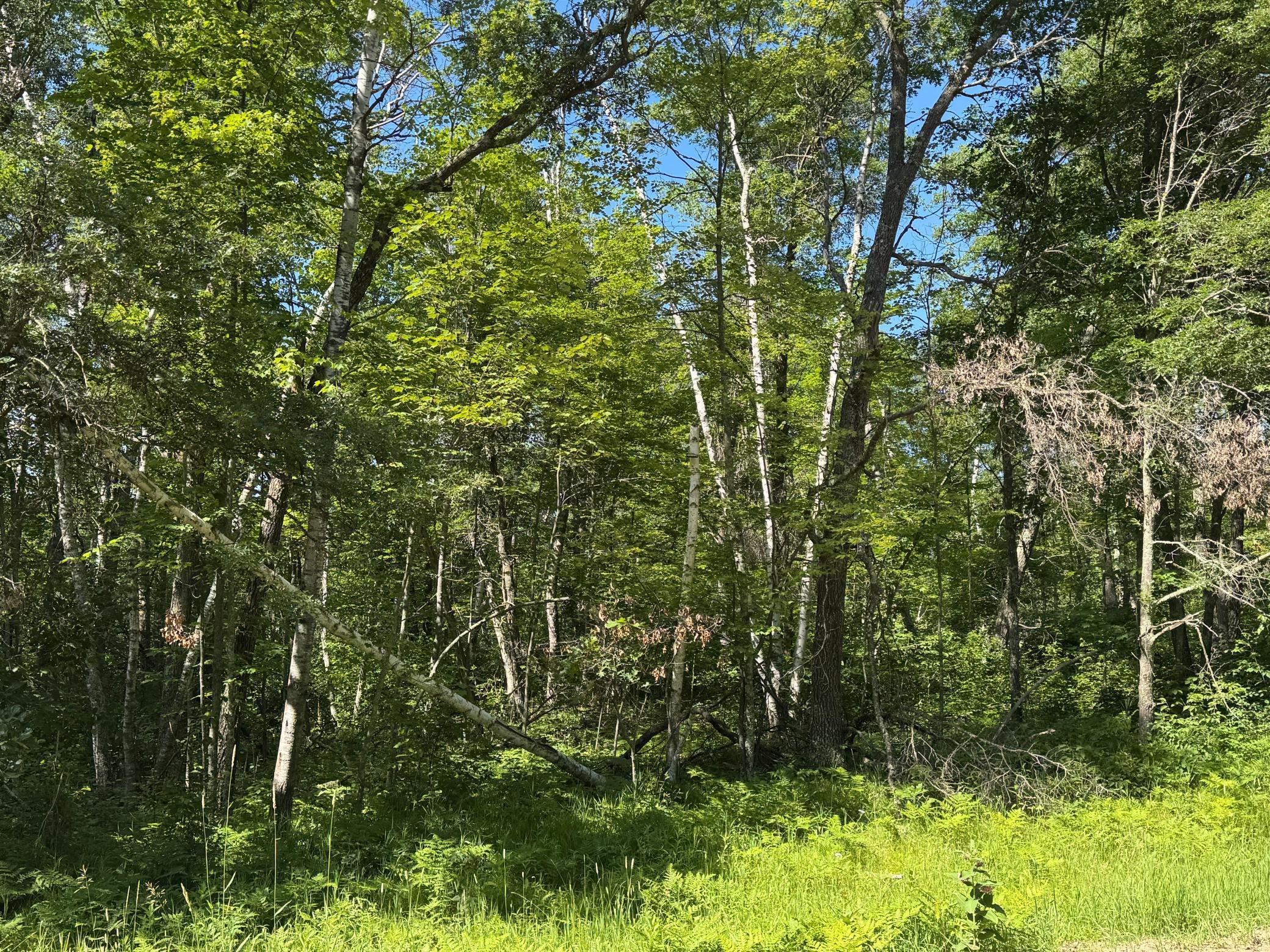 xxx Blue Ridge Drive