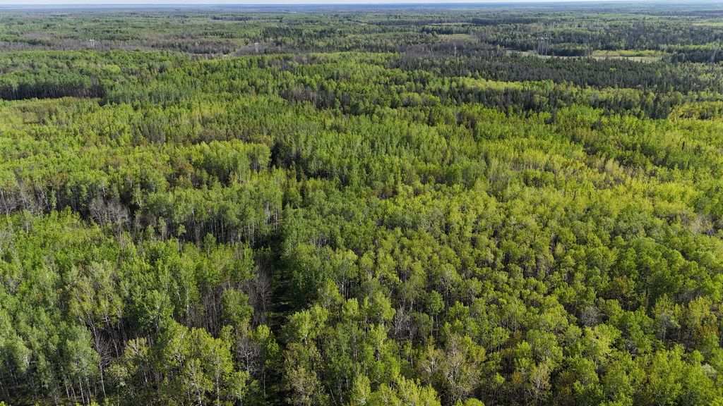 Photo of TBD Town Road 118, Birchdale, MN 56629 (MLS # 7064357)