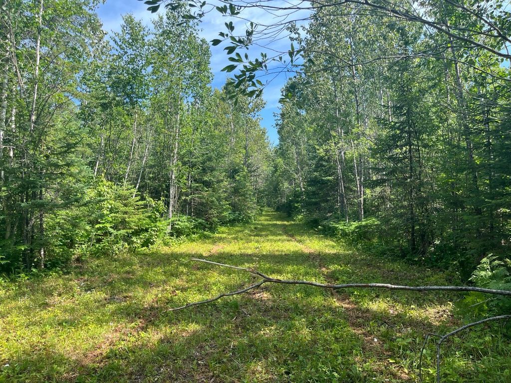 Photo of TBD Town Road 118, Birchdale, MN 56629 (MLS # 7064357)