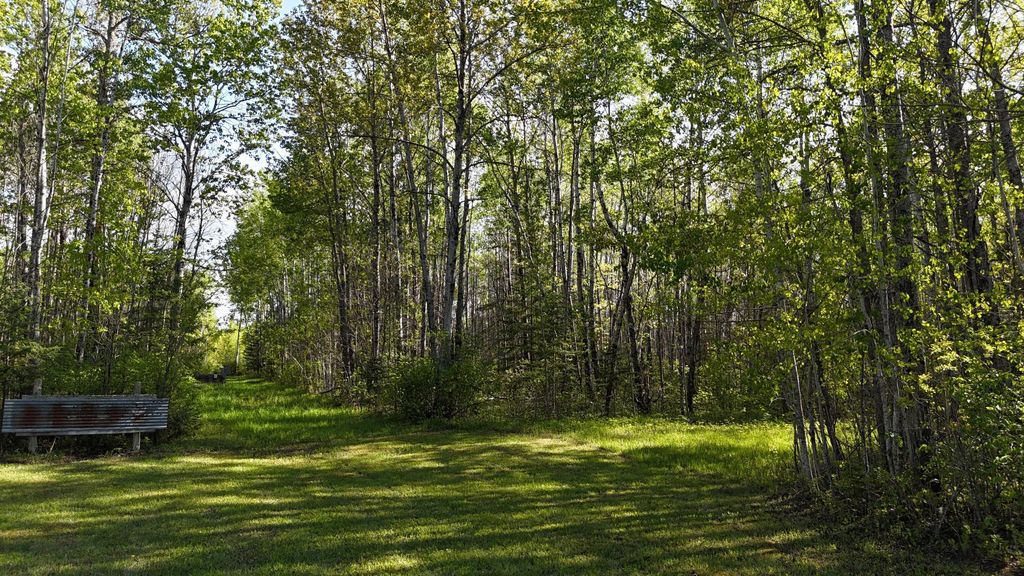 Photo of TBD Town Road 118, Birchdale, MN 56629 (MLS # 7064357)