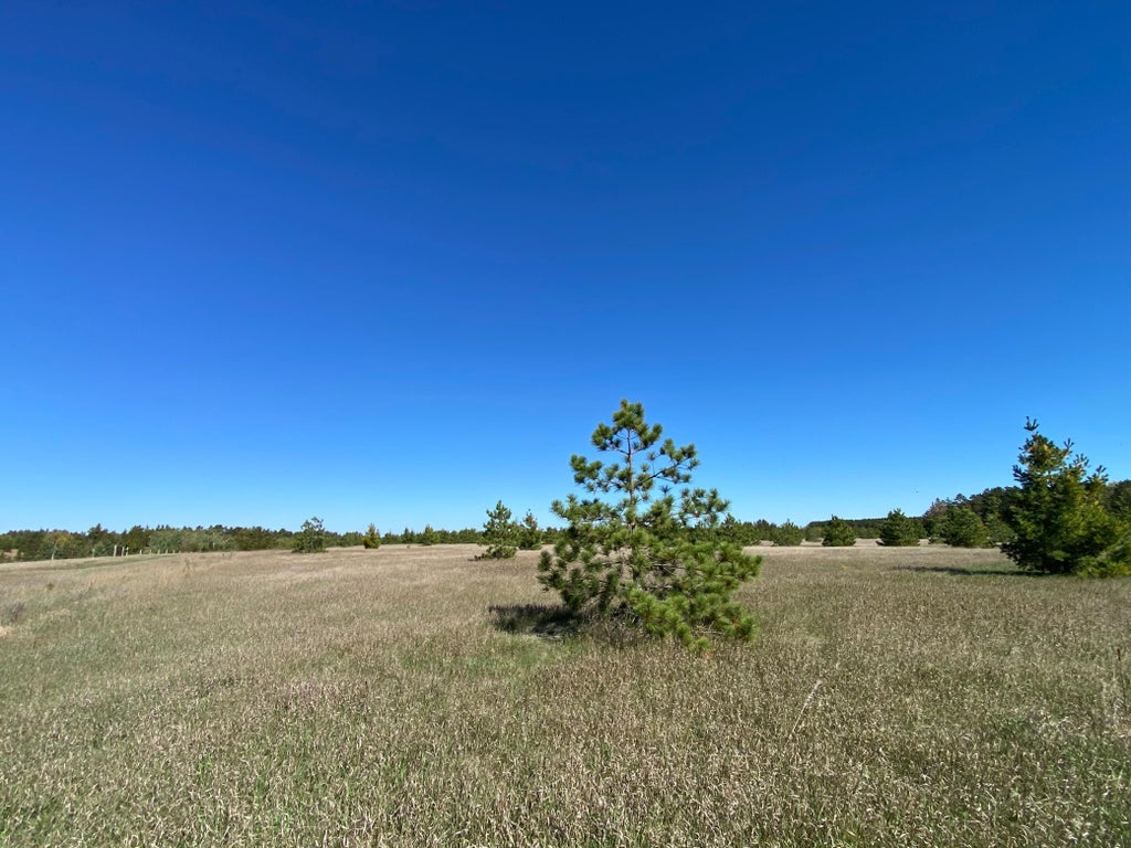 Photo of TBD Crooked River Dr - Tract B, Park Rapids, MN 56470 (MLS # 7153242)