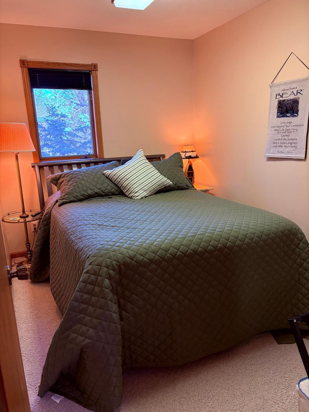 Photo of 12617 Old North Shore Drive, Spicer, MN 56288 (MLS # 7044027)