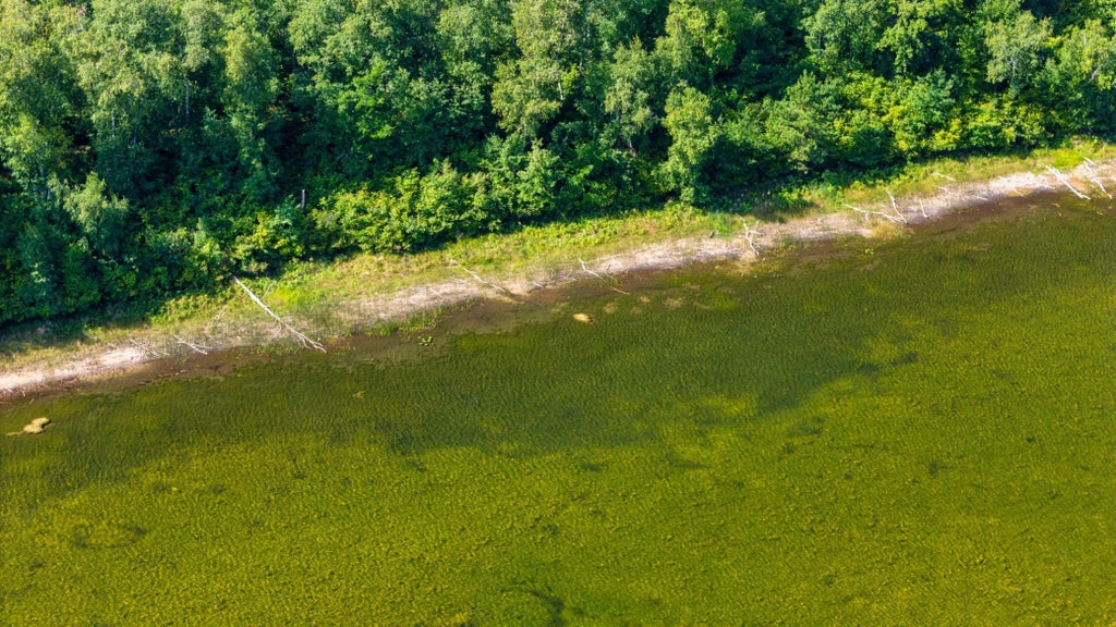 Photo of Lot 8 Park Preserve Trail NE, Bemidji, MN 56601 (MLS # 7145987)