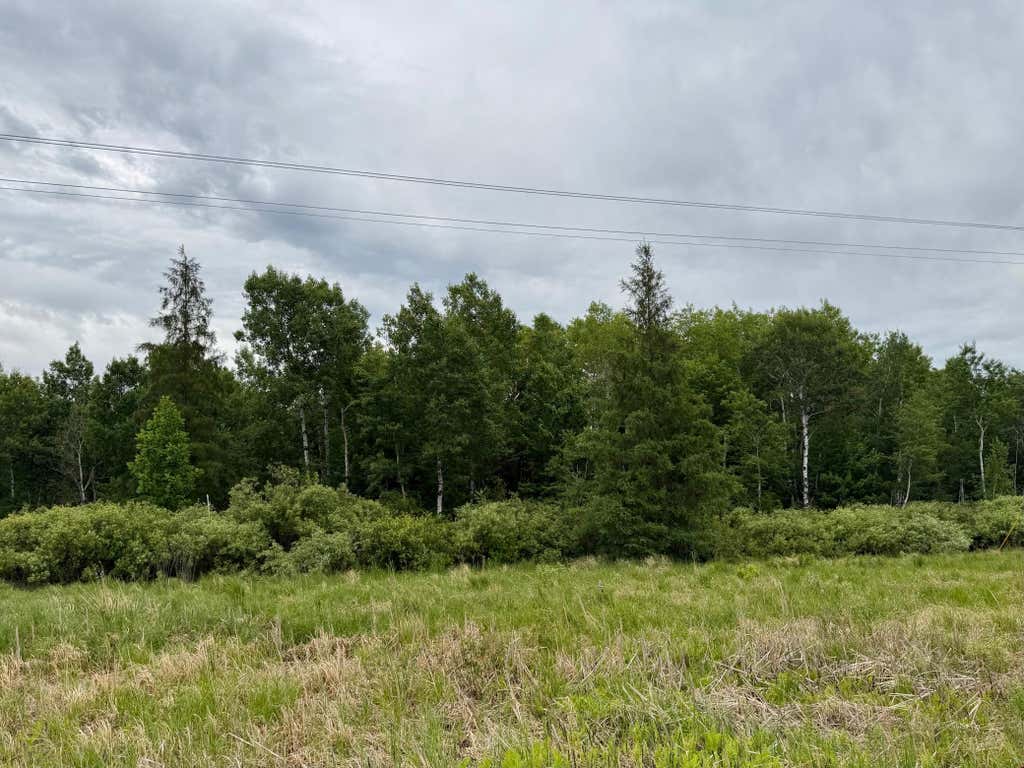 Photo of TBD Highway 65, Nashwauk, MN 55769 (MLS # 7102731)