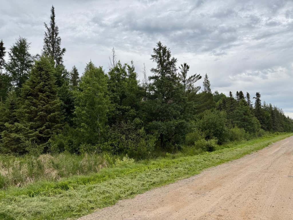 Photo of TBD Highway 65, Nashwauk, MN 55769 (MLS # 7102731)