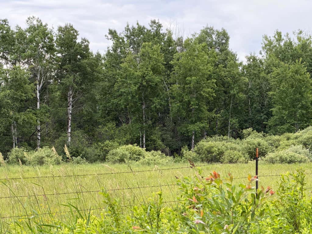 Photo of TBD Highway 65, Nashwauk, MN 55769 (MLS # 7102731)