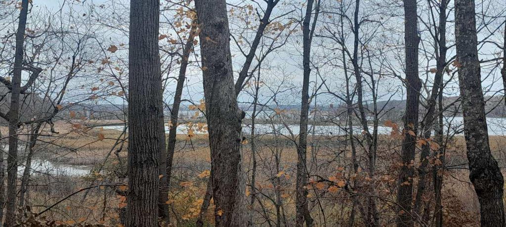 Photo of 220th 220th Street, Clitherall, MN 56524 (MLS # 7007608)