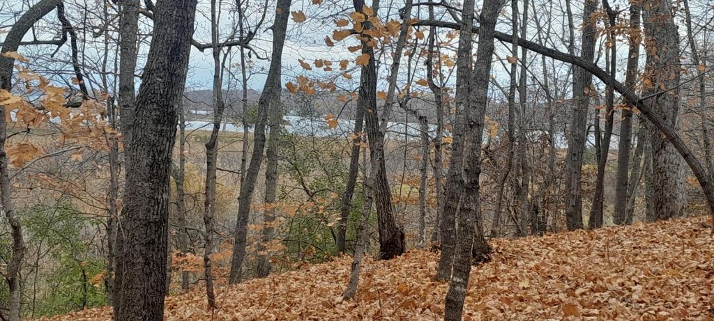 Photo of 220th 220th Street, Clitherall, MN 56524 (MLS # 7007608)