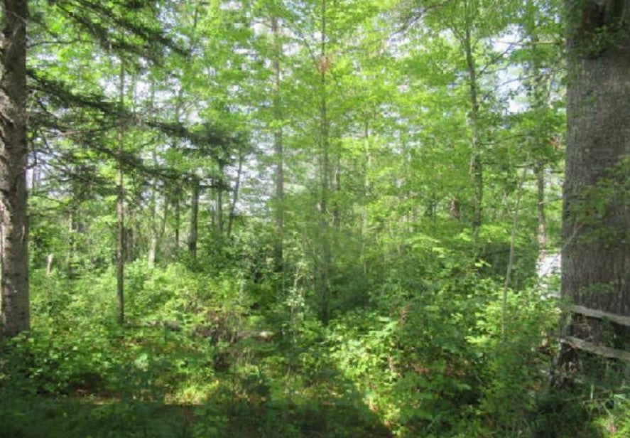 40227 County Road 106