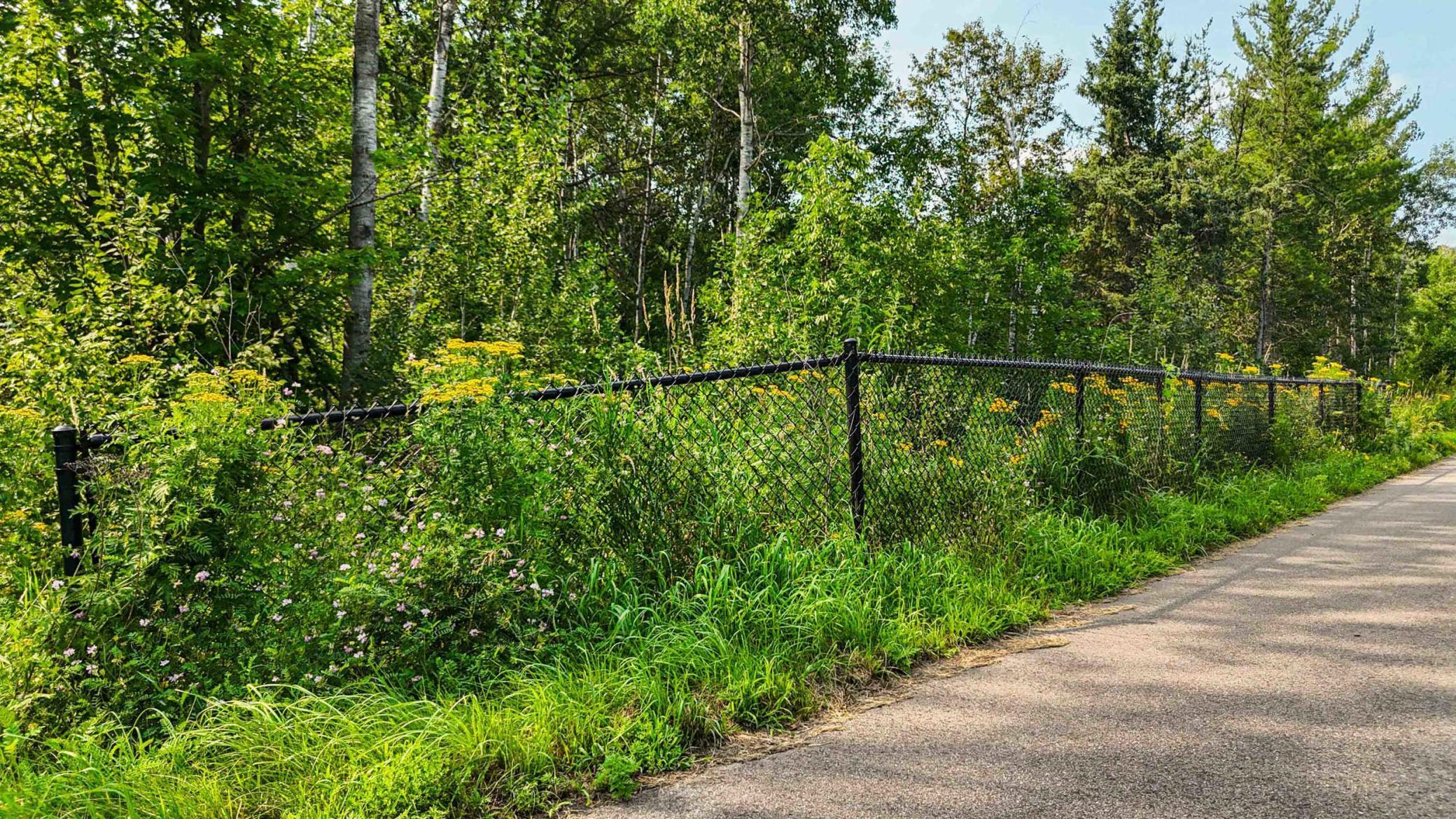 TBD1 Winter Creek Court