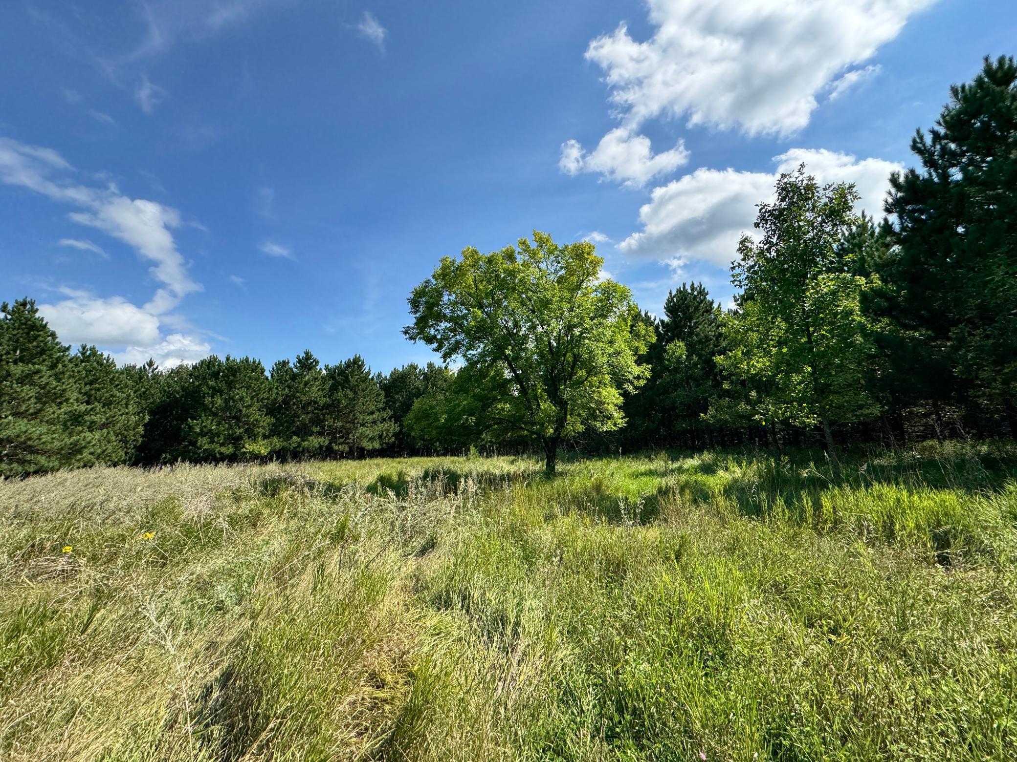 TBD County Highway 54