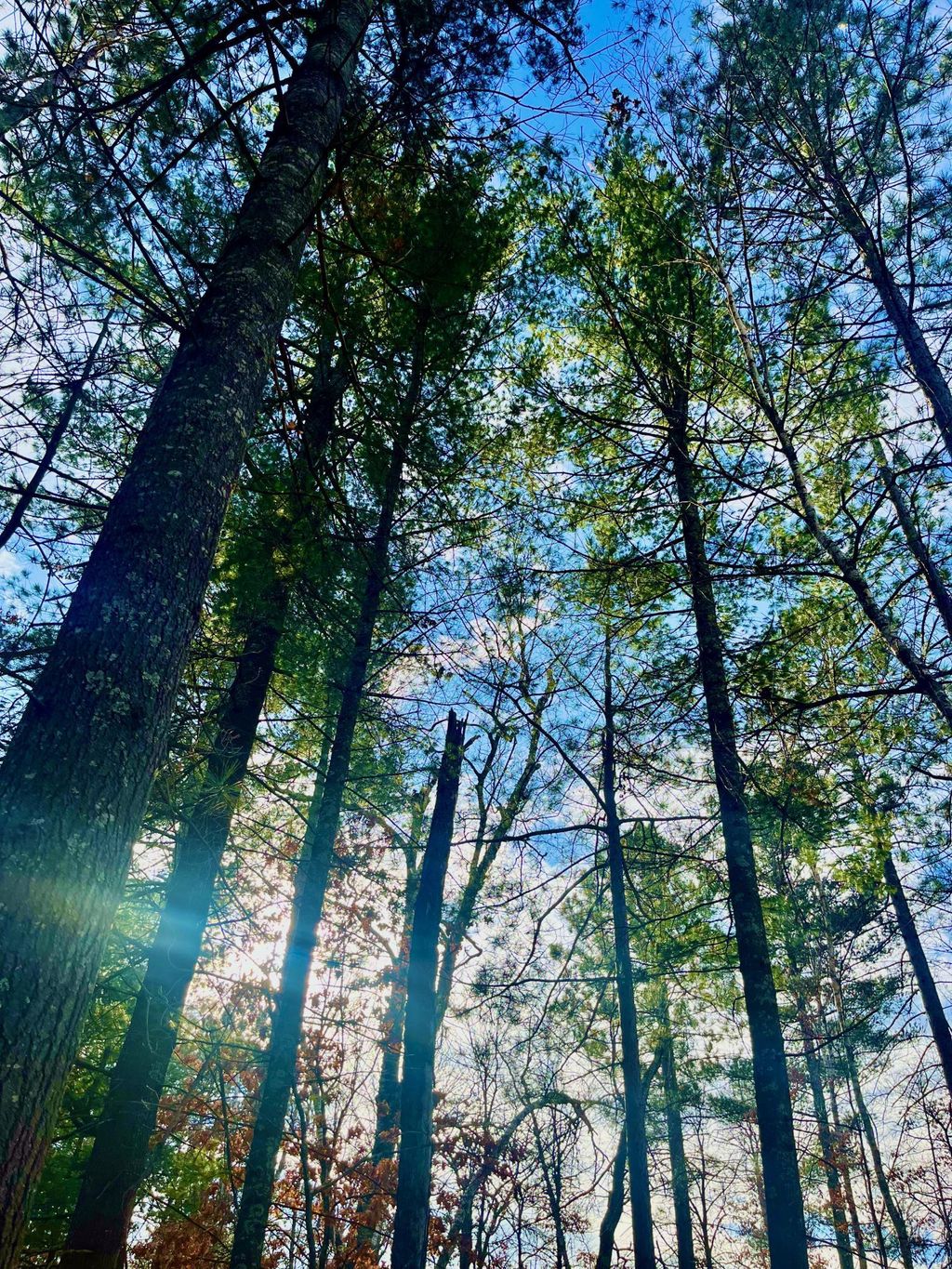 Photo of 37336 Teal Drive, Sturgeon Lake, MN 55783 (MLS # 7023845)